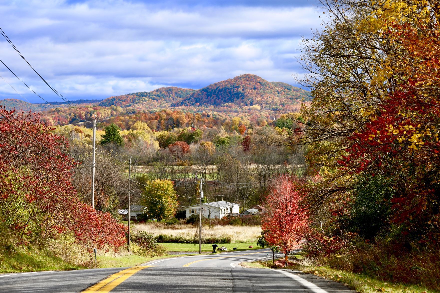 Hartford foliage